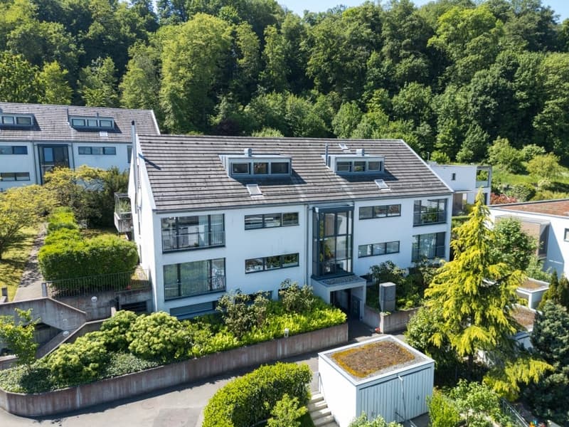 Spacious. Quiet. Close to nature. - 5.5-room maisonette apartment in Muttenz (22)