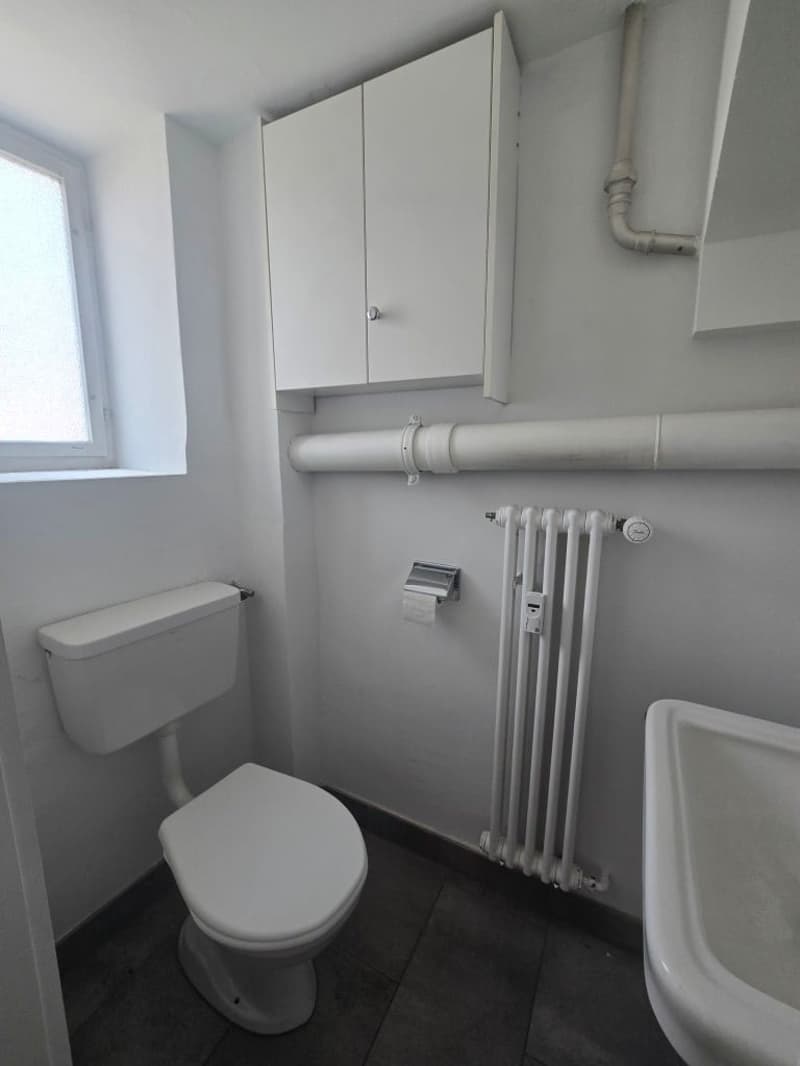 Büro-/ Gewerberäume in Münchenstein zu vermieten (10)