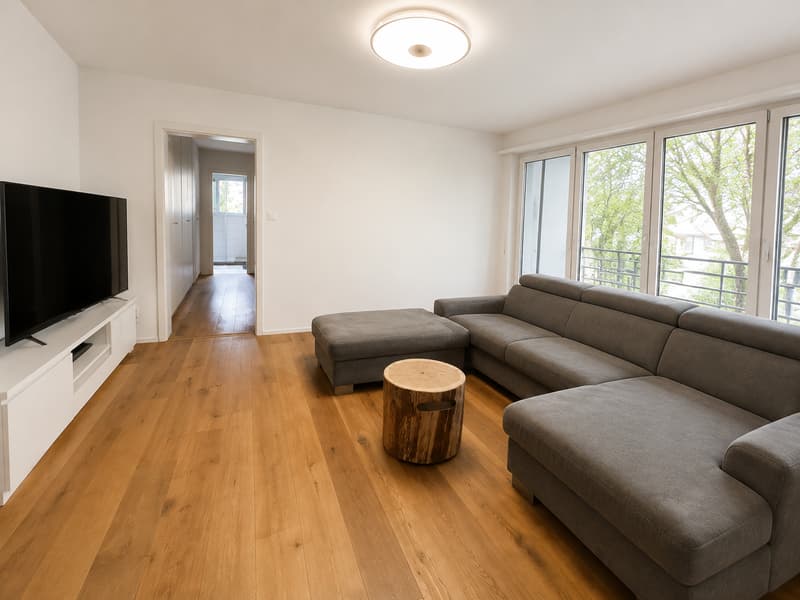 Schöne Wohnung mit Gartensitzplatz an ruhiger Lage in Allschwil (5)