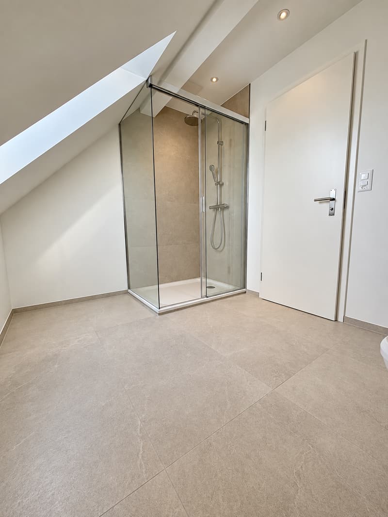 Charmant. Modern. Besonders. 2.5-Zimmer-Dachwohnung in Münchenstein (13)