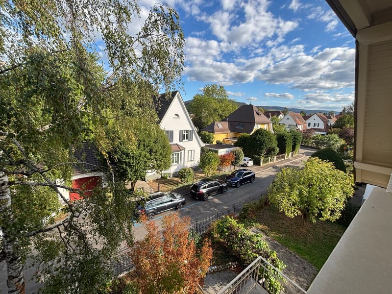 Charmant. Modern. Besonders. 2.5-Zimmer-Dachwohnung in Münchenstein (10)