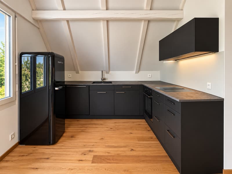 Charmant. Modern. Besonders. 2.5-Zimmer-Dachwohnung in Münchenstein (4)