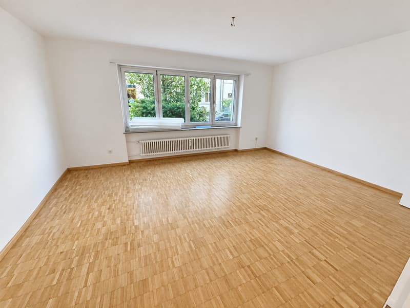 Gemütliche 1-Zimmer-Wohnung im Gundeldingerquartier (2)