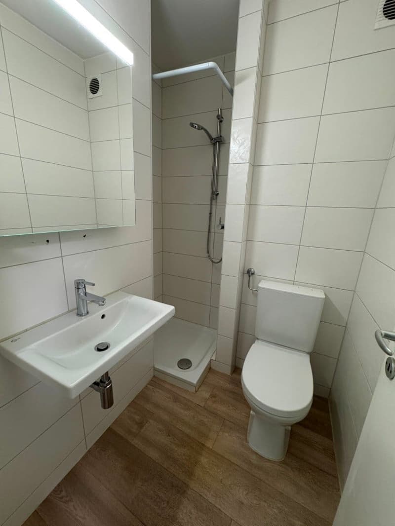 Helle 1-Zimmer-Wohnung mit Balkon - Nähe Zoo Basel (5)