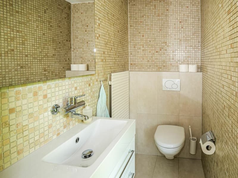 Duplex single-family house with large garden, ideal for families (5)