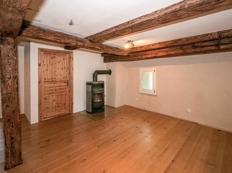 Naturnahes Wohnen im renovierten Haus (5)