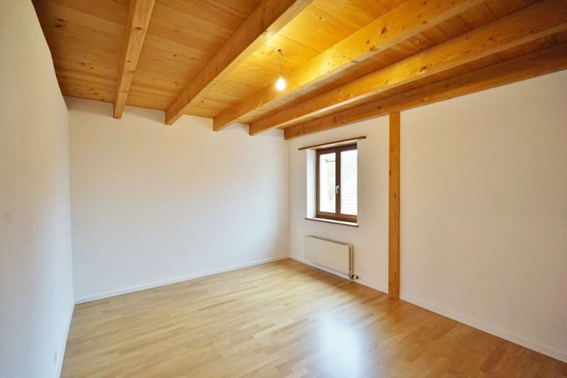 Charming attic apartment with garden share (3)