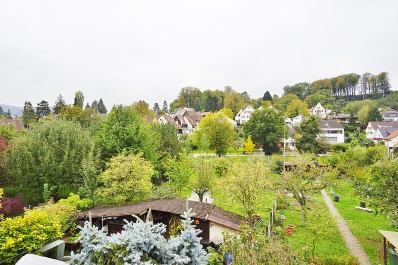 Charming attic apartment with garden share (7)