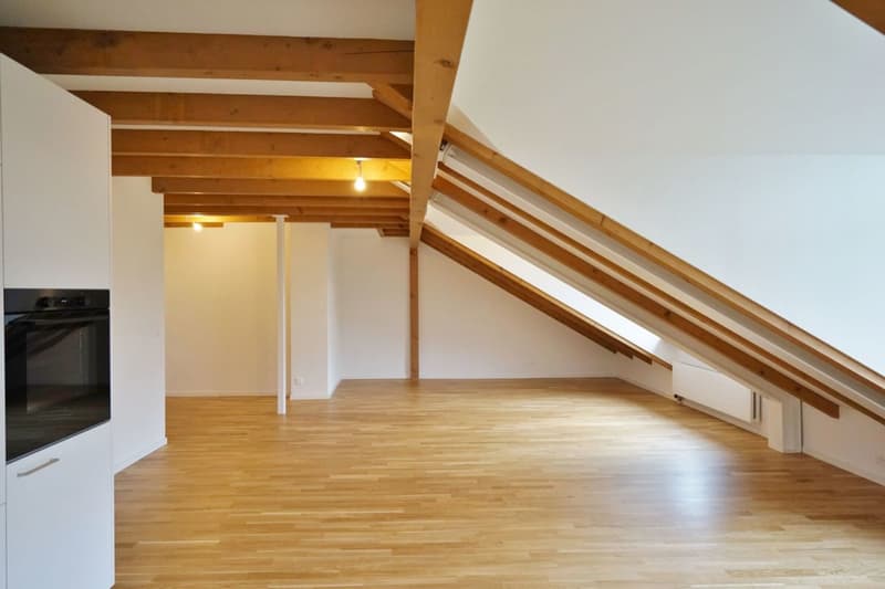 Charming attic apartment with garden share (2)