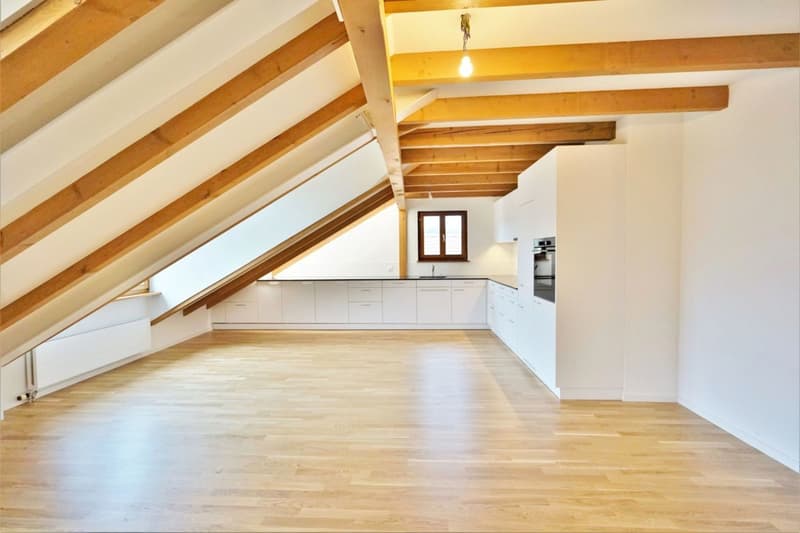 Charming attic apartment with garden share (1)