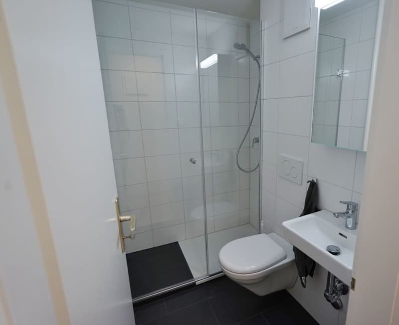 Attraktive Singlewohnung an toller Lage (4)