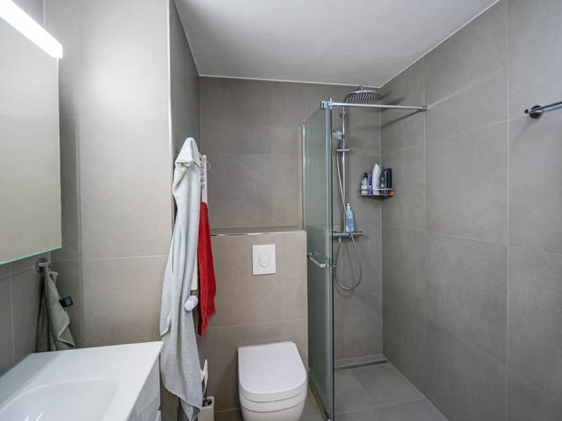 Renoviertes «Familienhaus mit Kühlung» (6)