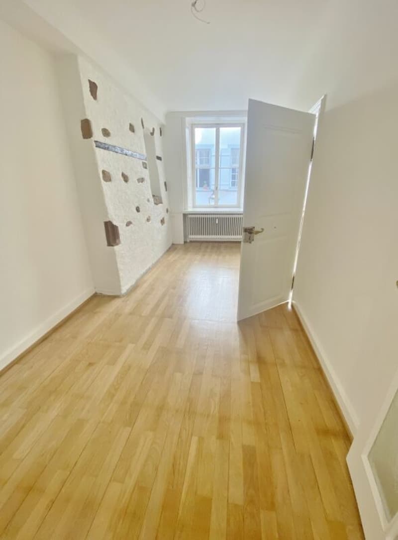 Sanierte Altbauwohnung im Herzen von Basel (5)