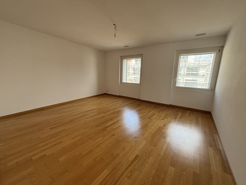 Appartamento 3 locali luminoso e moderno (3)