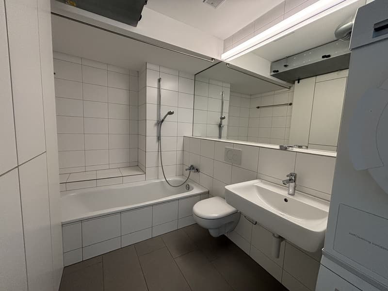Appartamento 3 locali luminoso e moderno (5)