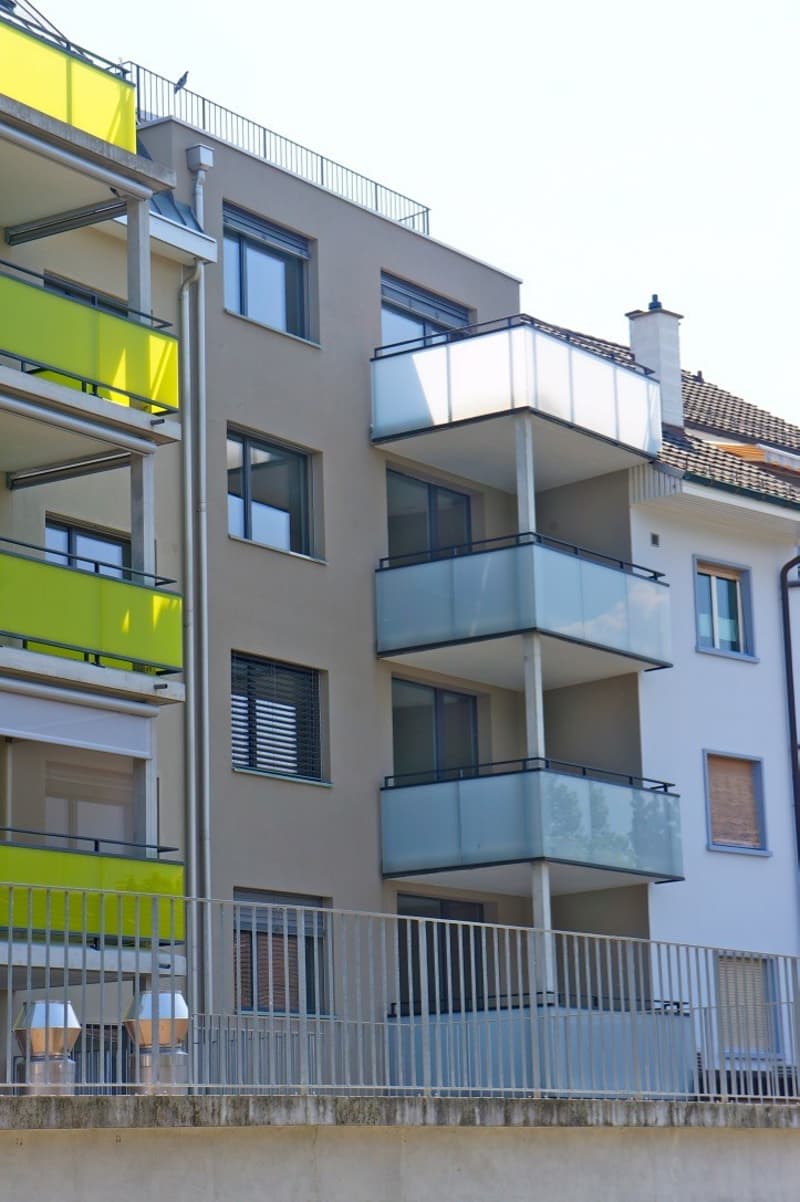 Appartamento 3 locali luminoso e moderno (8)
