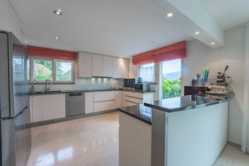 Space wonder on the Rebberg of Reinach - 7.5 room villa with plenty of privacy (6)