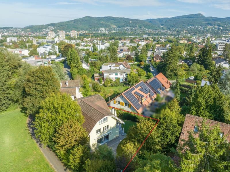 Space wonder on the Rebberg of Reinach - 7.5 room villa with plenty of privacy (2)