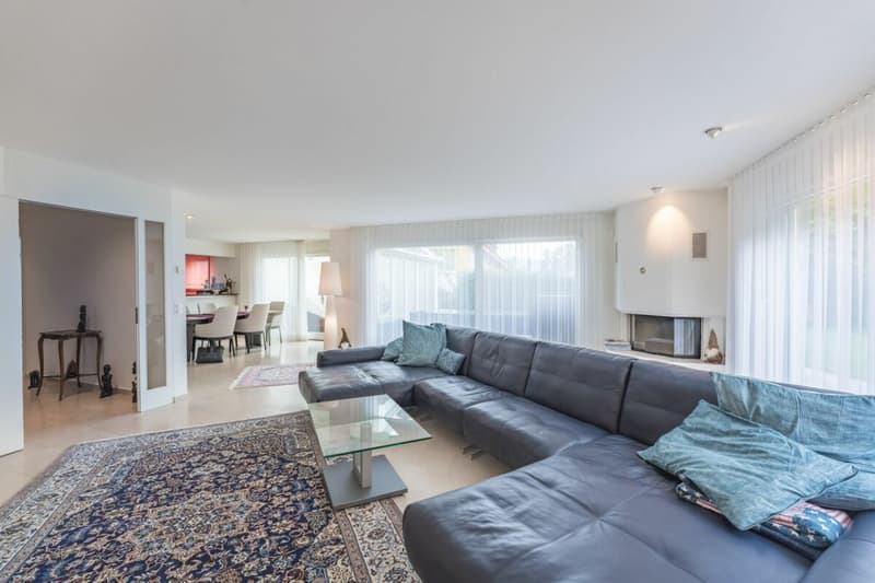 Space wonder on the Rebberg of Reinach - 7.5 room villa with plenty of privacy (4)