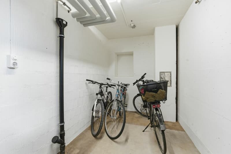 Cozy 2.5 room attic apartment with garage and balcony (13)