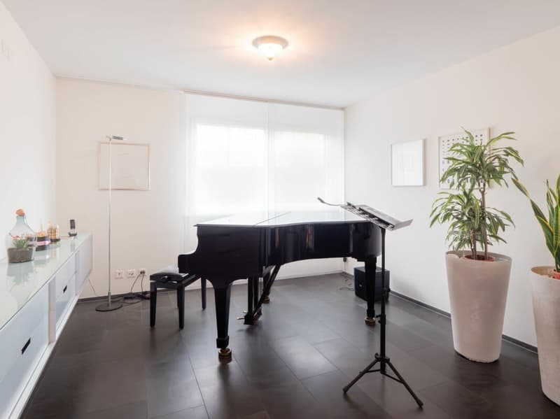 4.5 Room Maisonette Apartment with Dream Garden, Internal Lift Connection + Lots of Privacy (4)