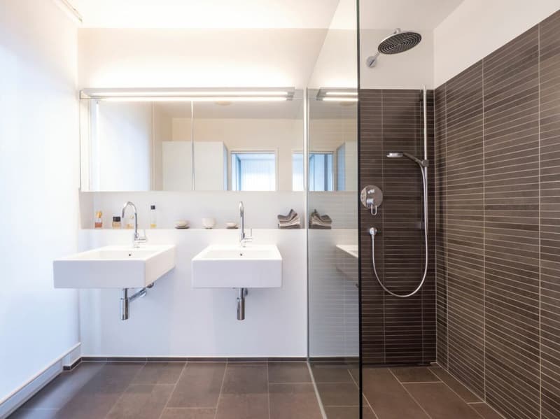 4.5 Room Maisonette Apartment with Dream Garden, Internal Lift Connection + Lots of Privacy (6)