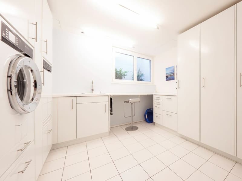 4.5 Room Maisonette Apartment with Dream Garden, Internal Lift Connection + Lots of Privacy (10)