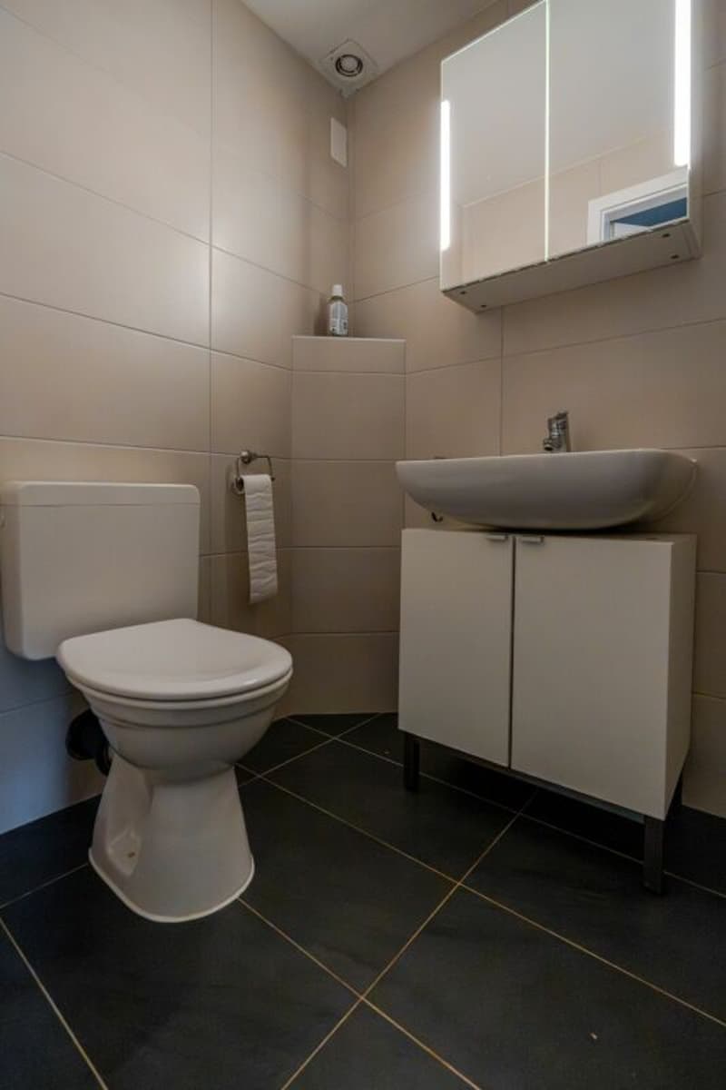 Spacious single-family house with 6.5 rooms and garden in central residential area (3)