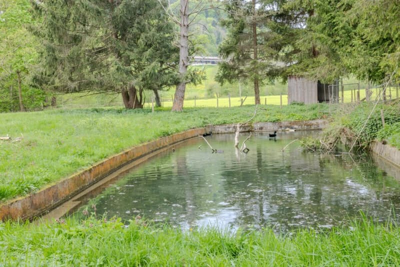 The dream of your own farm - well-kept 6.5 room single-family house with stable, pond, and plenty of land (11)