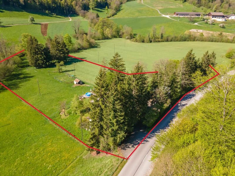The dream of your own farm - well-kept 6.5 room single-family house with stable, pond, and plenty of land (12)