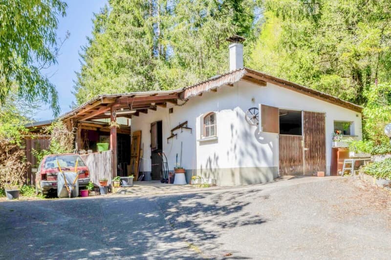 The dream of your own farm - well-kept 6.5 room single-family house with stable, pond, and plenty of land (10)