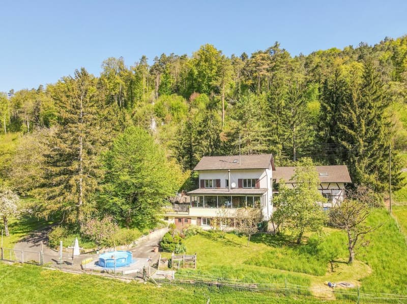 The dream of your own farm - well-kept 6.5 room single-family house with stable, pond, and plenty of land (1)