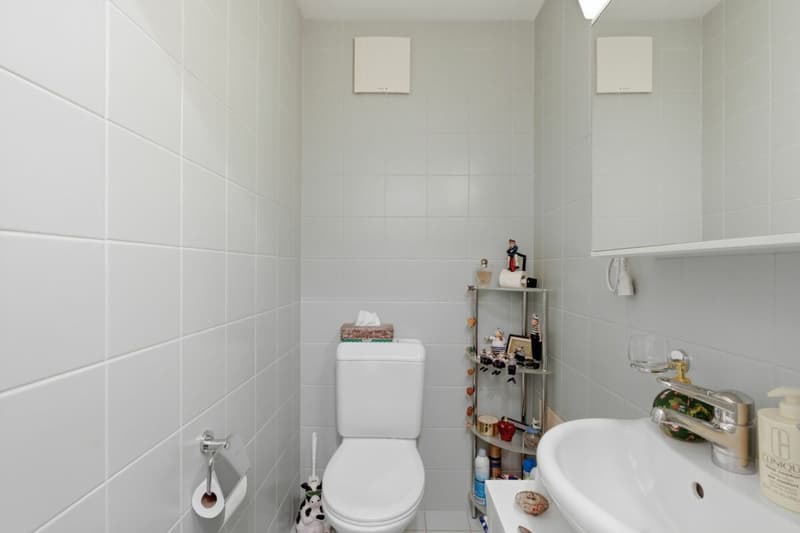 Sunny 3.5 room maisonette attic apartment with unobstructable view and 1 EHP (6)