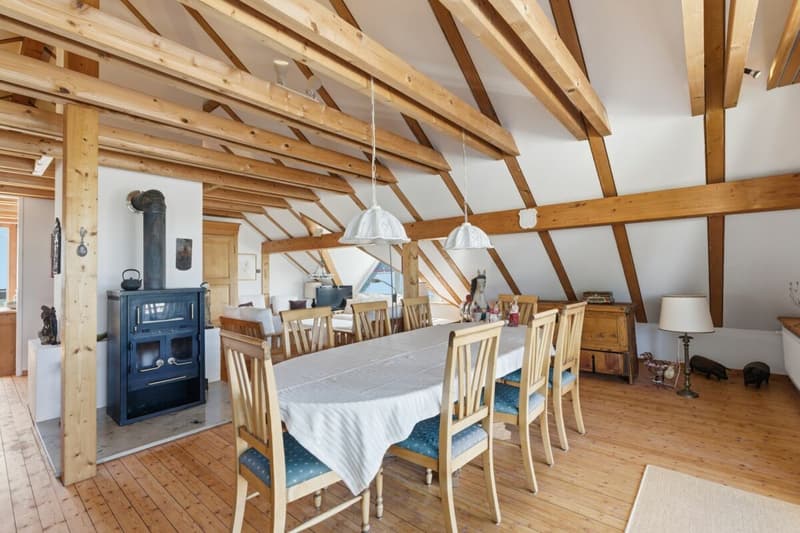 Maison individuelle de 7 pièces avec appartement indépendant et jardin de rêve (9)