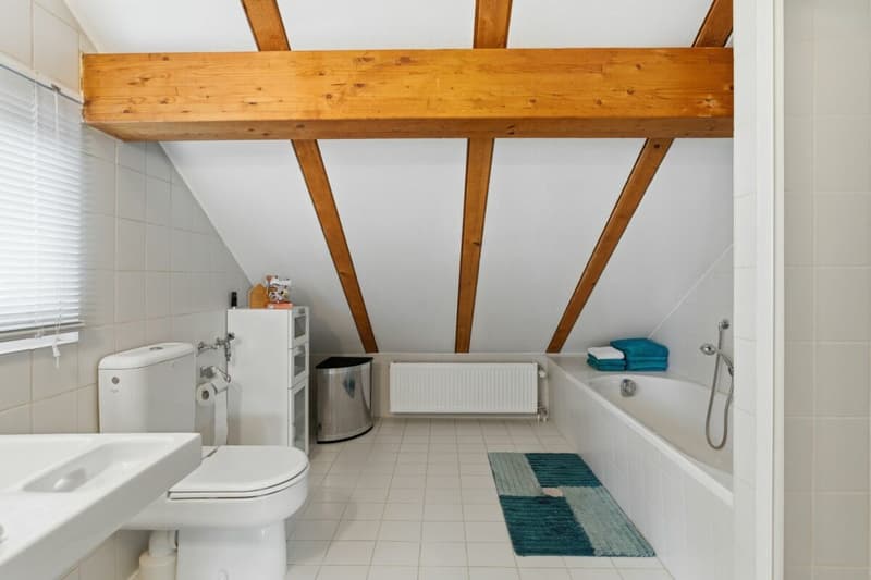 Maison individuelle de 7 pièces avec appartement indépendant et jardin de rêve (8)