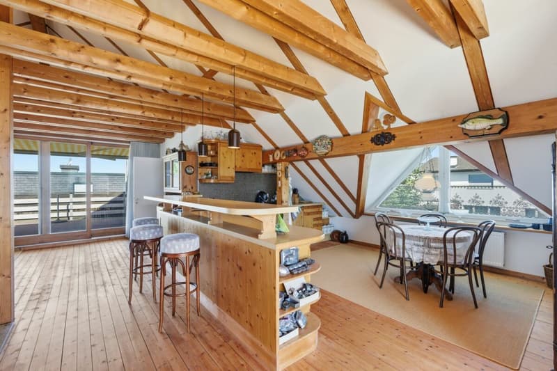 Maison individuelle de 7 pièces avec appartement indépendant et jardin de rêve (11)