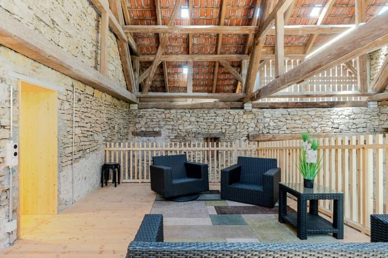 Maison de fermier rêveuse, rénovée, 5,5 pièces, avec beaucoup de charme, d'histoire et un grand jardin (10)