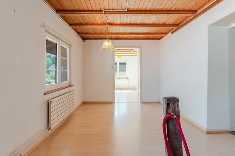 Maison historique de 11 pièces avec deux garages et un grand potentiel de rénovation (6)