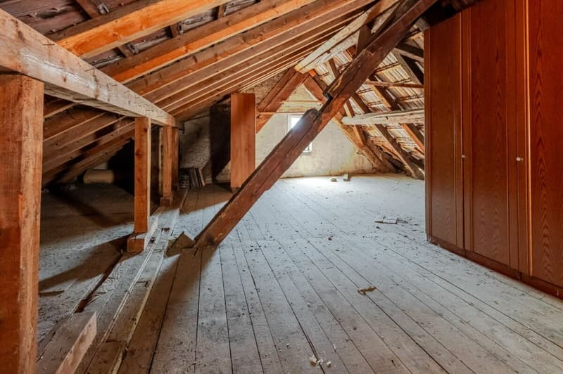 Maison historique de 11 pièces avec deux garages et un grand potentiel de rénovation (8)