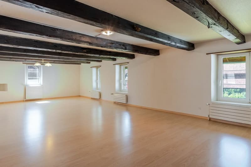 Maison historique de 11 pièces avec deux garages et un grand potentiel de rénovation (7)