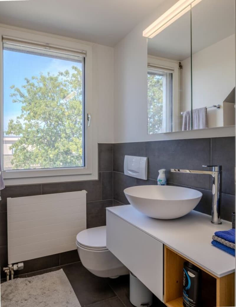 Habitation adaptée aux seniors : vaste appartement de 4,5 pièces en mansarde avec ascenseur et 2 places de parking (5)