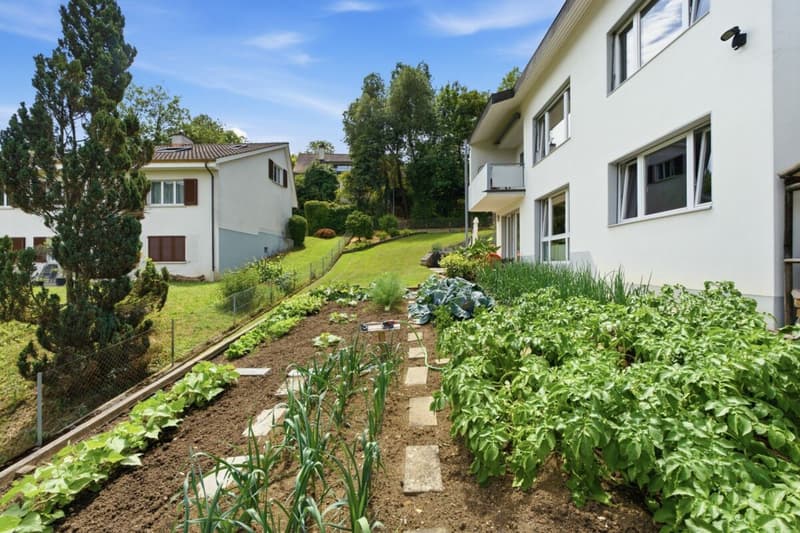 Sonniges, freistehendes 5.5 Z' EFH mit grossem Garten und Doppelgarage (9)