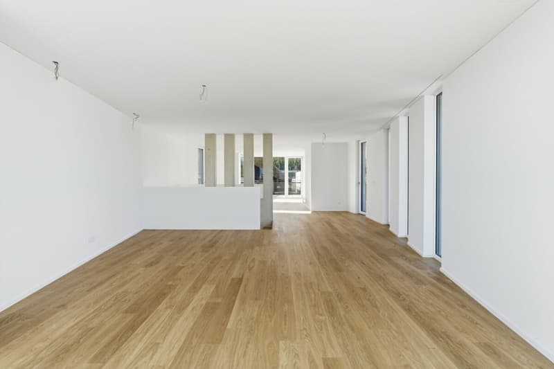 Moderne 4.5 Z' Attika-Maisonettewohnung (Neubau) (9)