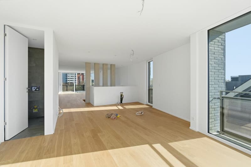 Moderne 4.5 Z' Attika-Maisonettewohnung (Neubau) (10)