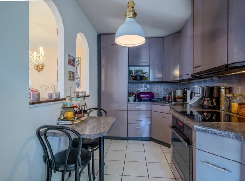 Über den Dächern von Basel: 3 Z' Attikawohnung mit traumhafter Terrasse ca. 80m2 (7)