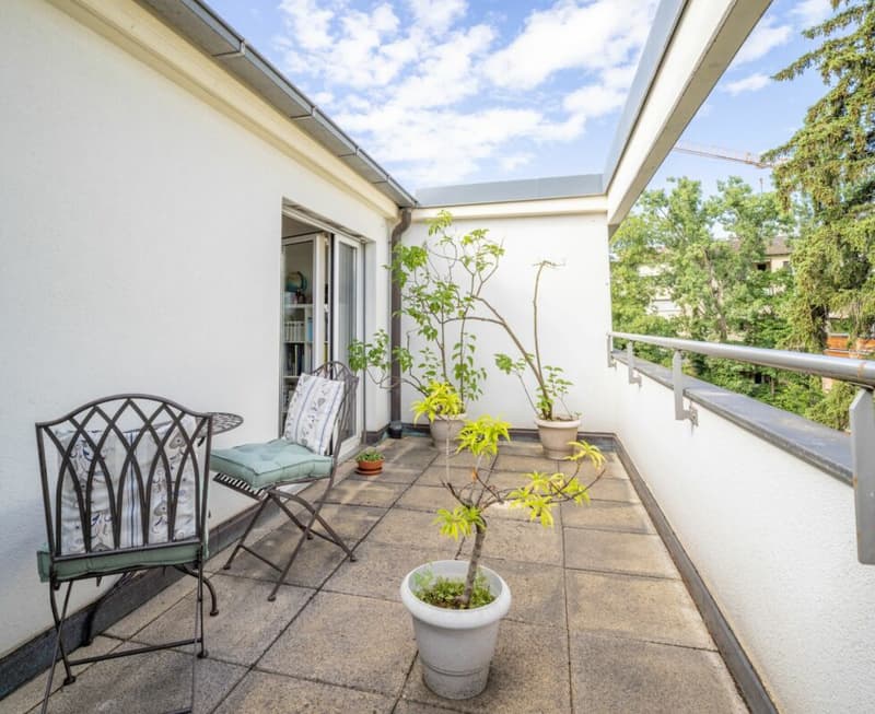 Über den Dächern von Basel: 3 Z' Attikawohnung mit traumhafter Terrasse ca. 80m2 (8)