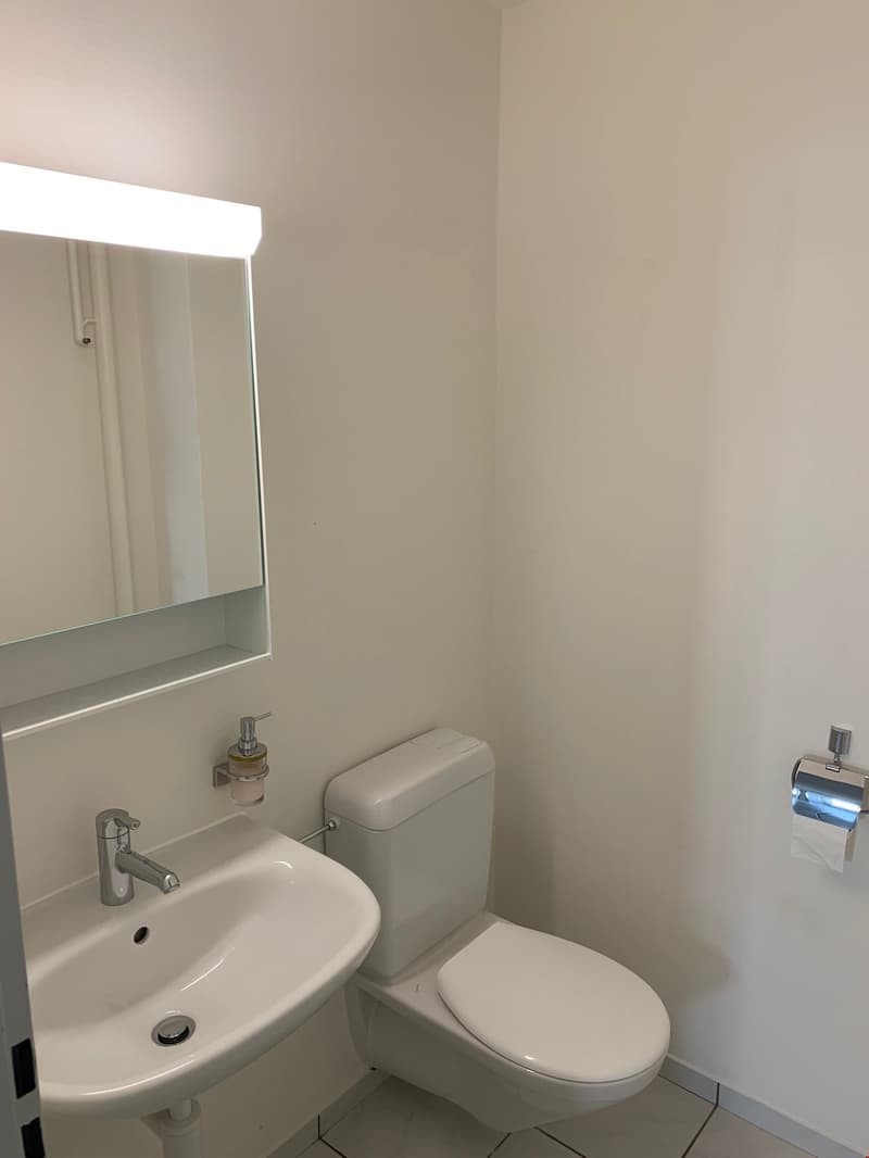 white sink, white toilet, mirror, wall mounted soap dispenser, mounted light