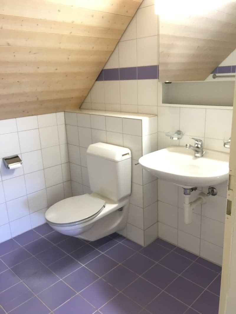 Bathroom with white and purple tiles, toilet, sink, mirror, wooden ceiling