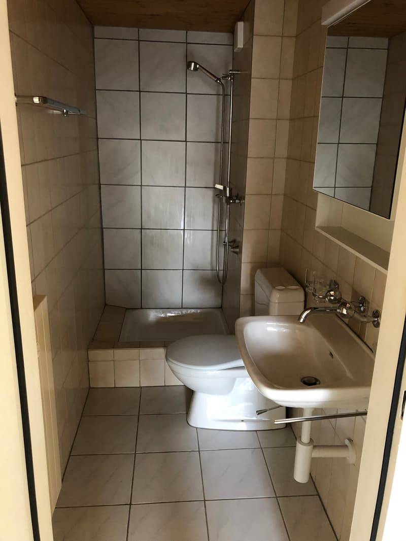Schöne 2.5 Zimmer Erdgeschoss Wohnung mit Balkon (8)