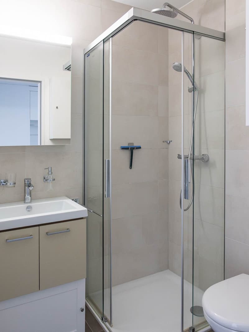 Appartement attractif de 4,5 pièces avec norme Minergie et grand balcon au cœur de Liestal (7)